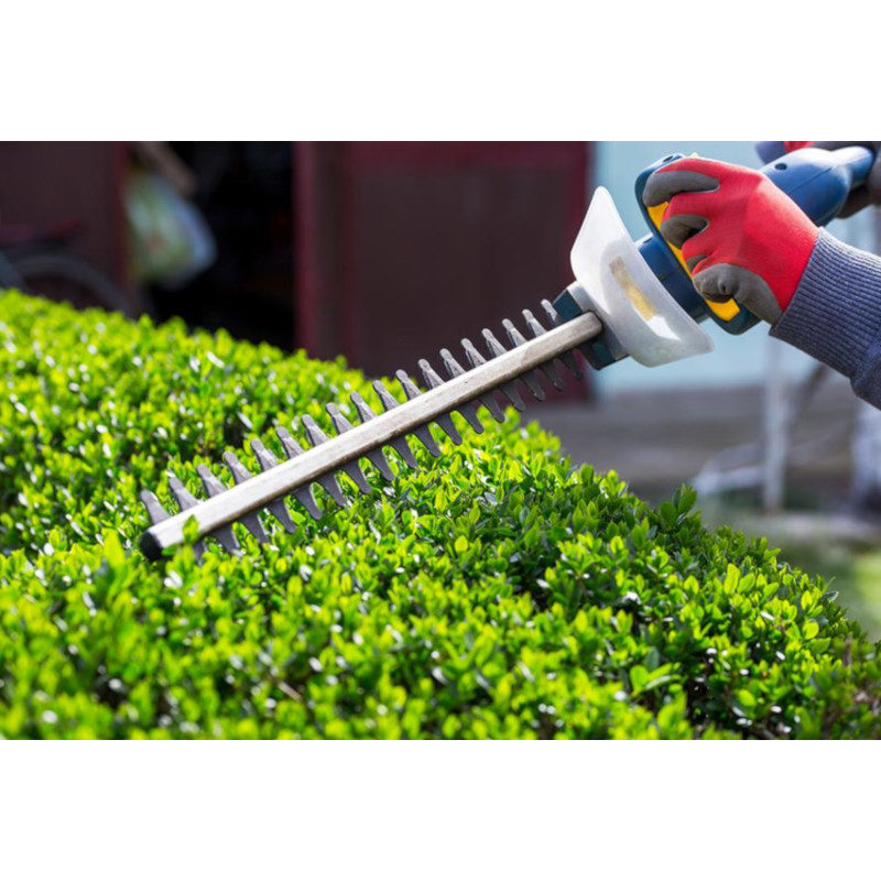 Jardin, espaces verts